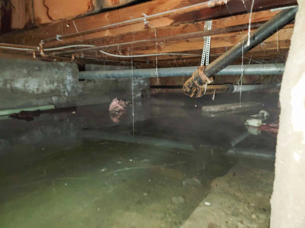 Best Water damage restoration mold remediation  in Gantt, SC
