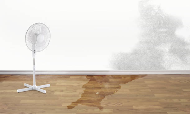 Professional Water damage restoration in Gantt, SC