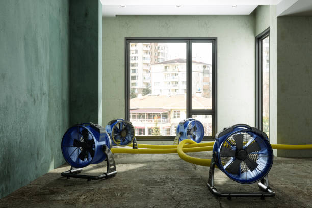 Water damage restoration experts in Gantt, SC